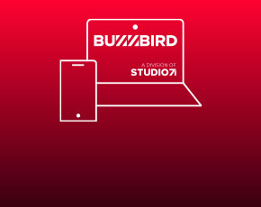  Influencer Marketing Buzzbird