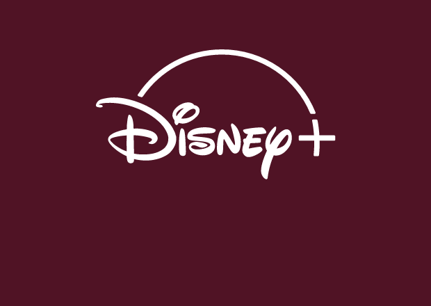 Kundencase Disney +